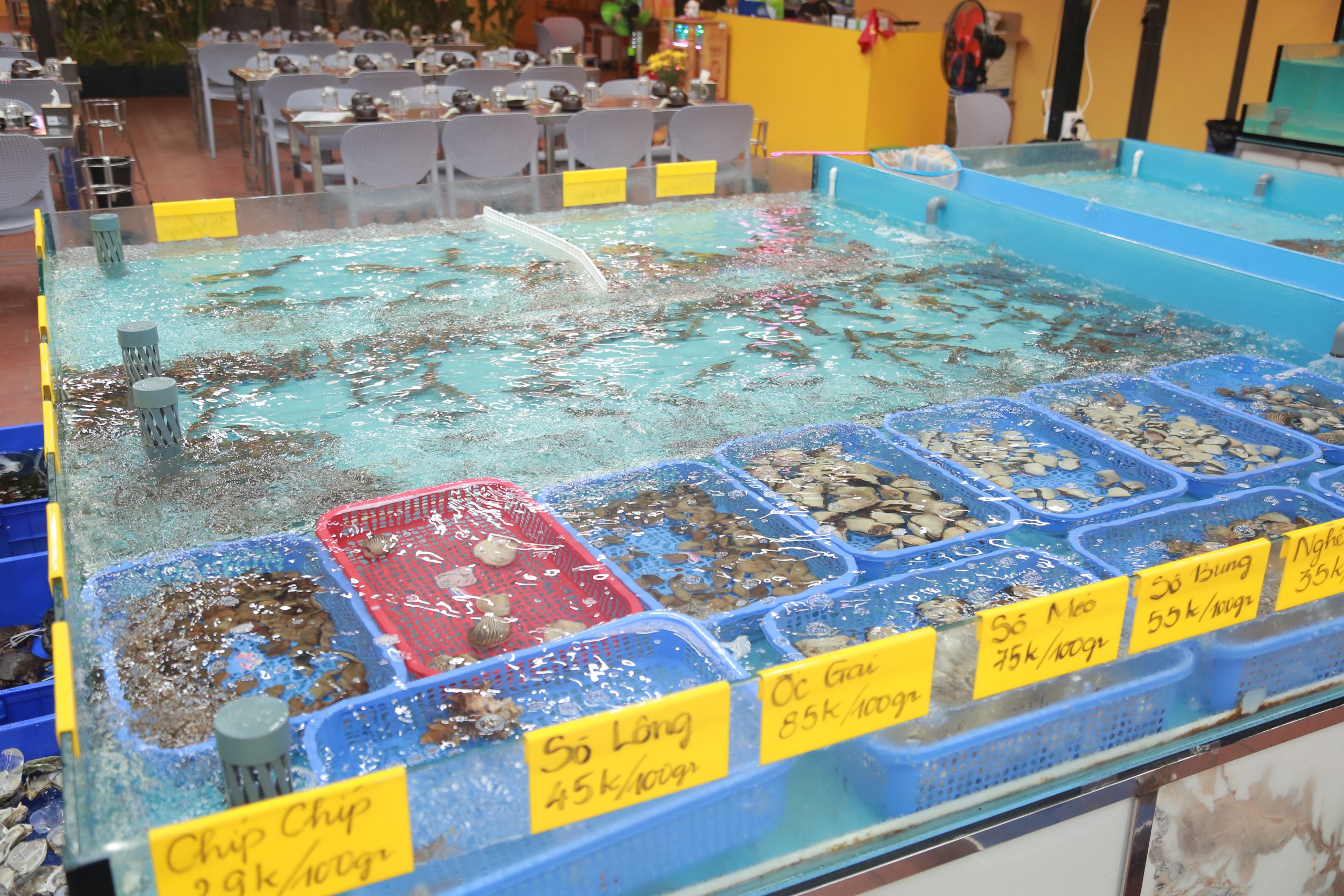 Best Seafood in Da Nang